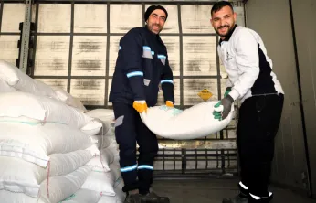 Büyükşehir'den arıcılara yüzde 50 hibeli arı yemi