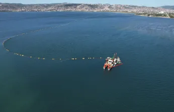 Çamur gidiyor, yeni canlılar geliyor