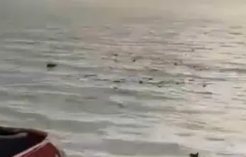 Denizi şehir çöplüğüne çevirdiler