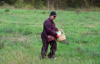 Doğaseverler Ormanya'nın zengin biyolojik çeşitliliğini keşfetti