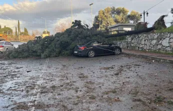 Gebze'de fırtınada iki otomobilin üzerine ağaç devrildi