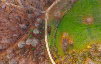Herkesin sanayi şehri olarak bildiği Kocaeli'nin öteki yüzü
