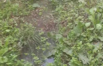 Huzur Sitesi'nin sorunu büyüyor