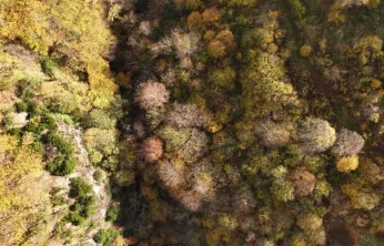 İstanbul'un yanı başında sonbahar rotası