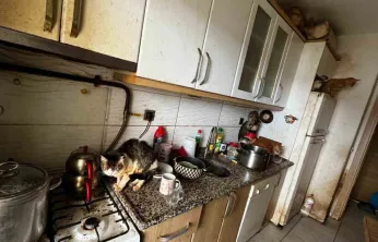 Kapı açılınca karşılaşılan manzara şoke etti