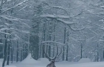 Karla kaplı Kartepe'de kızıl geyik güzelliği