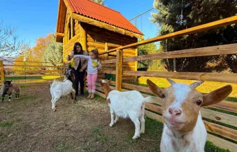 Keçi, ördek, tavuk, tavşan: Hepsinin görevi Çok özel