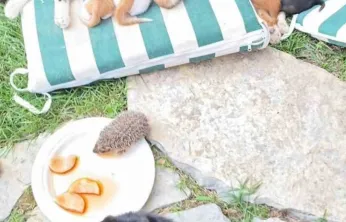 Kocaeli'de yürek ısıtan anlar