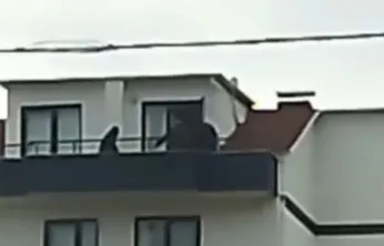 Kocaeli'de FETÖ operasyonu