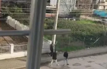 Kocaeli'de havaya ateş açan çocuğa para cezası