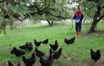Kocaeli'de kırsal kalkınmaya kanatlı destek
