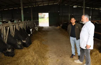 Kocaeli'de manda sayısı Büyükşehir'in desteğiyle artıyor