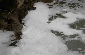Köpüren dereden ağır kokular yükseliyor