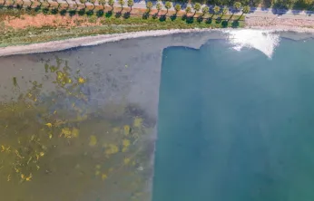 Körfez'de mavi dönüşüm