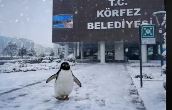 Siyasette penguen savaşı