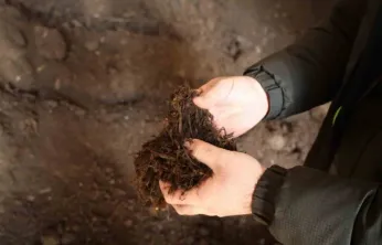 Torf üretimiyle yılda milyonlarca lira tasarruf sağlanıyor