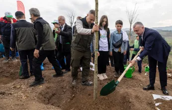 Yanan bölge 3 bin fidanla yeniden yeşerecek