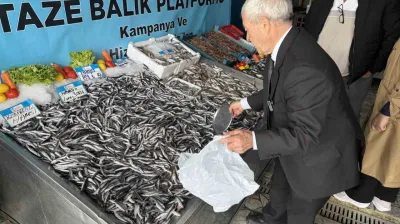 Denizlerde balık bolluğu: Hamsinin fiyatı düştü