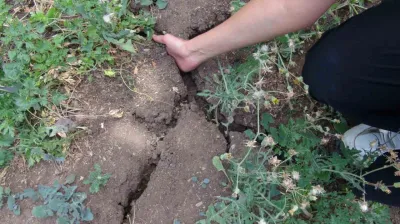 Derenin kuruduğunu ilk kez gördüler: Çiftçiler imece usulü ayakta