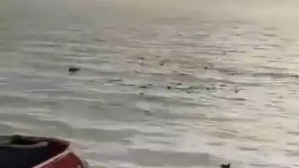 Denizi şehir çöplüğüne çevirdiler