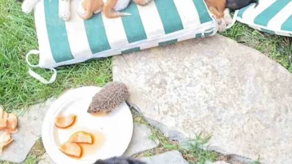 Kocaeli'de yürek ısıtan anlar