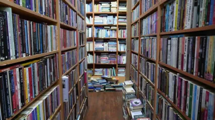 Kocaelili sahafın Shakespeare üzüntüsü