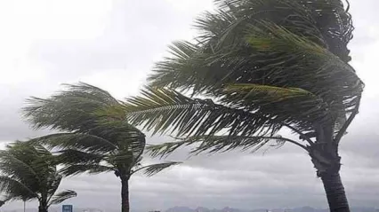 Kocaelililer dikkat! Kuvvetli geliyor