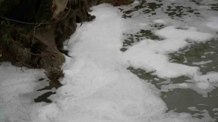 Köpüren dereden ağır kokular yükseliyor