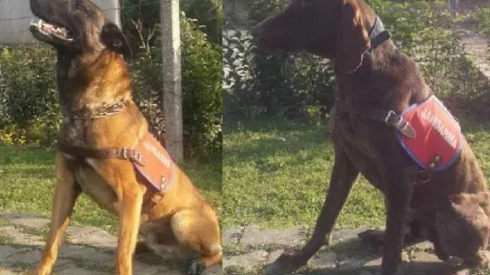 'Ateş' ve 'Sıtma' uyuşturucuya geçit vermiyor