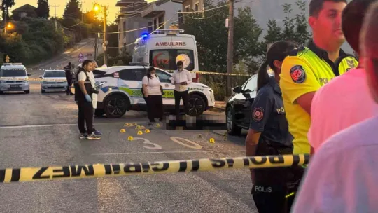 Kocaeli'de baba ve oğlunu öldüren zanlı yakalandı