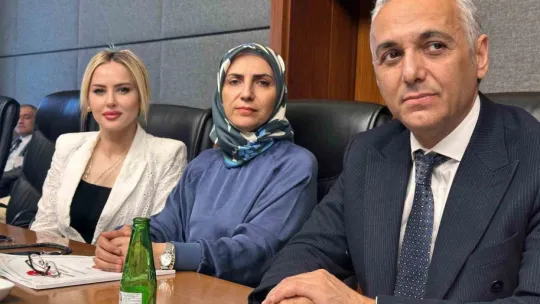 'Sigma formülü yönetmeliği' Anayasa Mahkemesi gündeminde