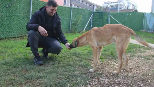 Yürüyemez dendi, 1,5 ayda ayağa kalktı