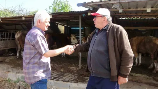 1 ton 100 kiloluk Paşa 265 bin TL'ye satıldı