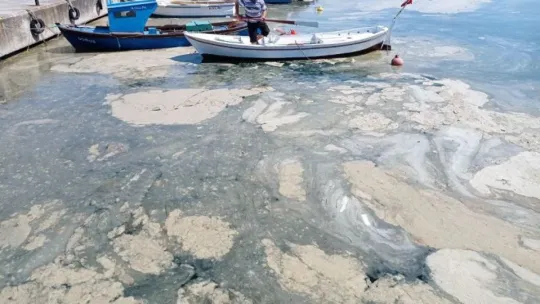 15 metre derinden Marmara Denizi için haykırdılar