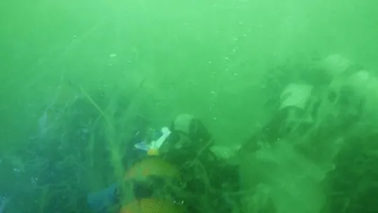 15 metre derinden Marmara Denizi için haykırdılar