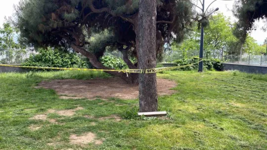 16 yaşındaki çocuk kavgada ağır yaralandı