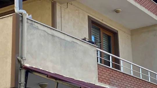 2 işçi çalıştıkları binadan düştü