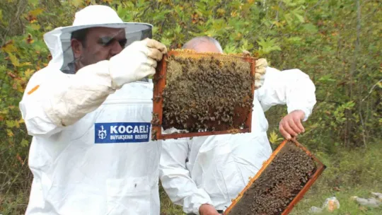 2025'te toprağa bereket yağdı