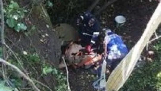 25 metrelik çukura düşen inek vinçle kurtarıldı 