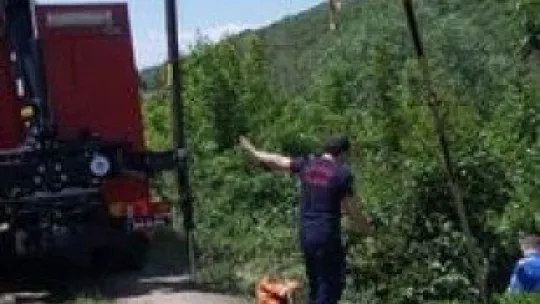 25 metrelik çukura düşen inek vinçle kurtarıldı 