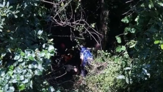 25 metrelik çukura düşen inek vinçle kurtarıldı 