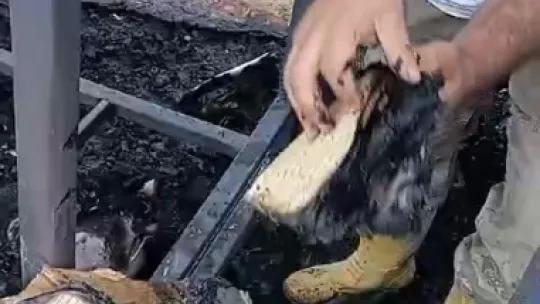 3 konteyner küle dönerken Kur'an-ı Kerim'in sayfaları yanmadı