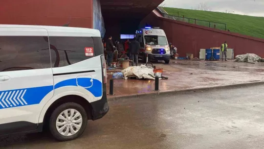 3 metre derinliğindeki boş akvaryuma düştü