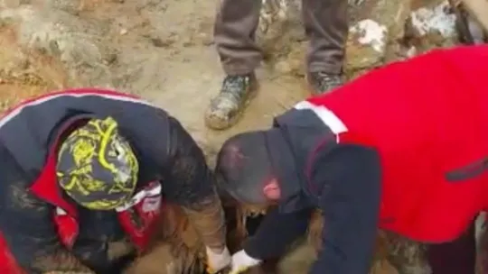 322 saat sonra enkazdan iki koyun ve bir kuzu canlı çıkarıldı