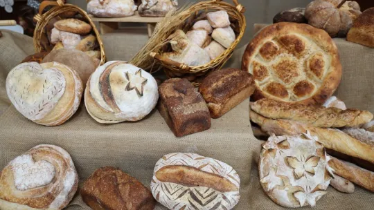 35 bin 201 kursiyere eğitim