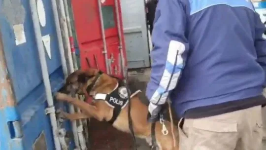 4 ton uyuşturucu işte böyle bulundu