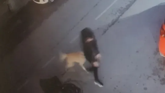 5 sokak köpeği 15 yaşındaki çocuğa saldırdı