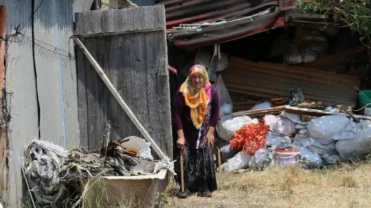 63 yaşındaki kadın tonluk boğalarına gözü gibi bakıyor