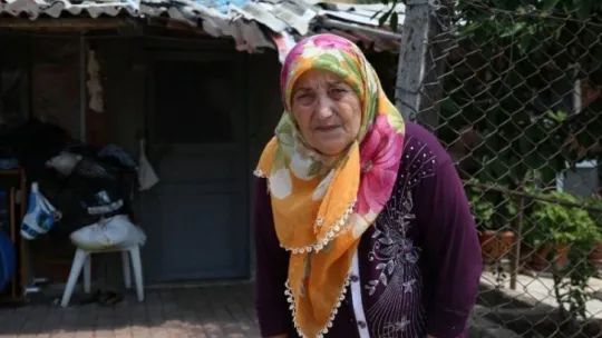 63 yaşındaki kadın tonluk boğalarına gözü gibi bakıyor