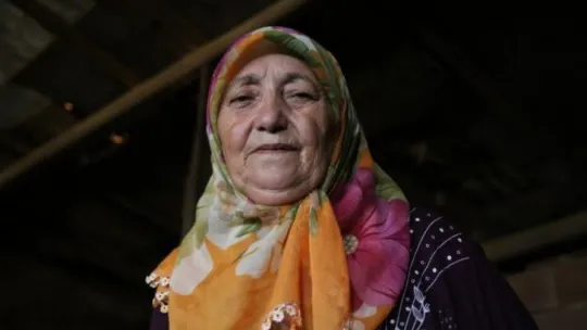 63 yaşındaki kadın tonluk boğalarına gözü gibi bakıyor